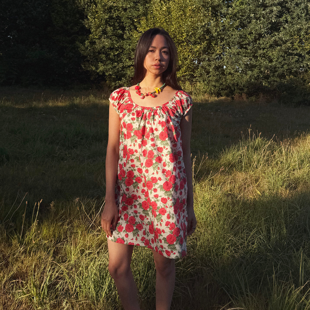Linnea mini dress in red rose print